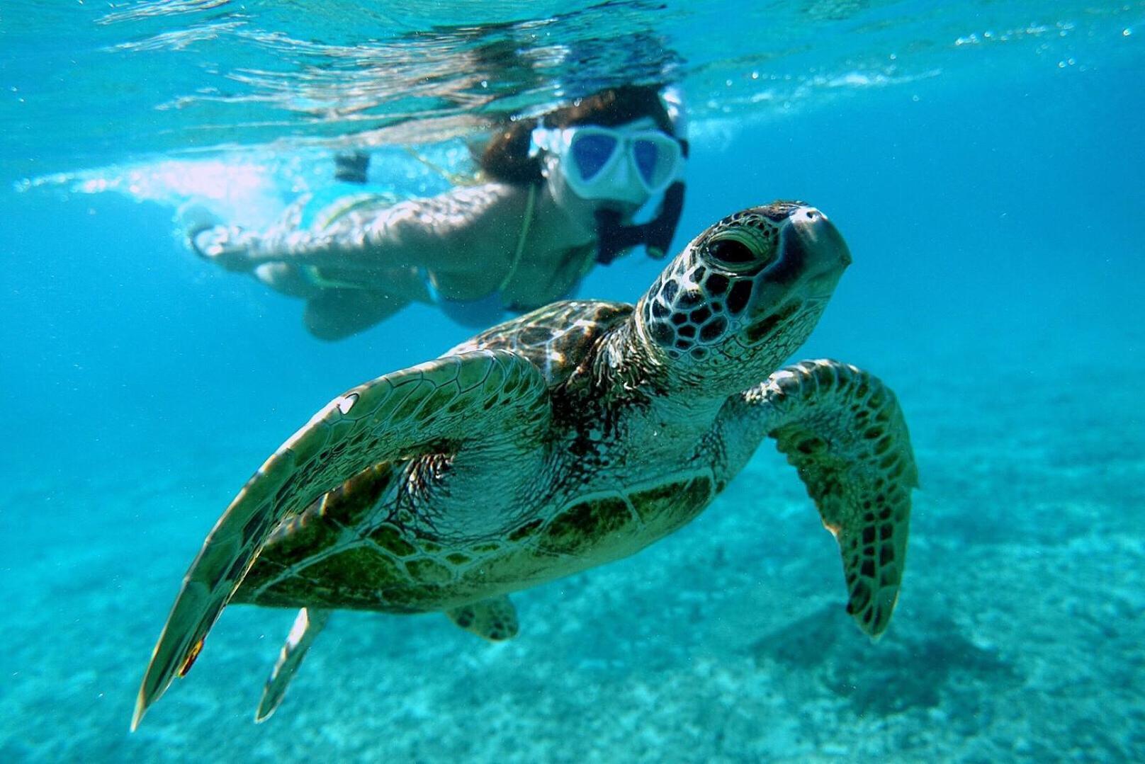 Hanahana Miyakojima エクステリア 写真